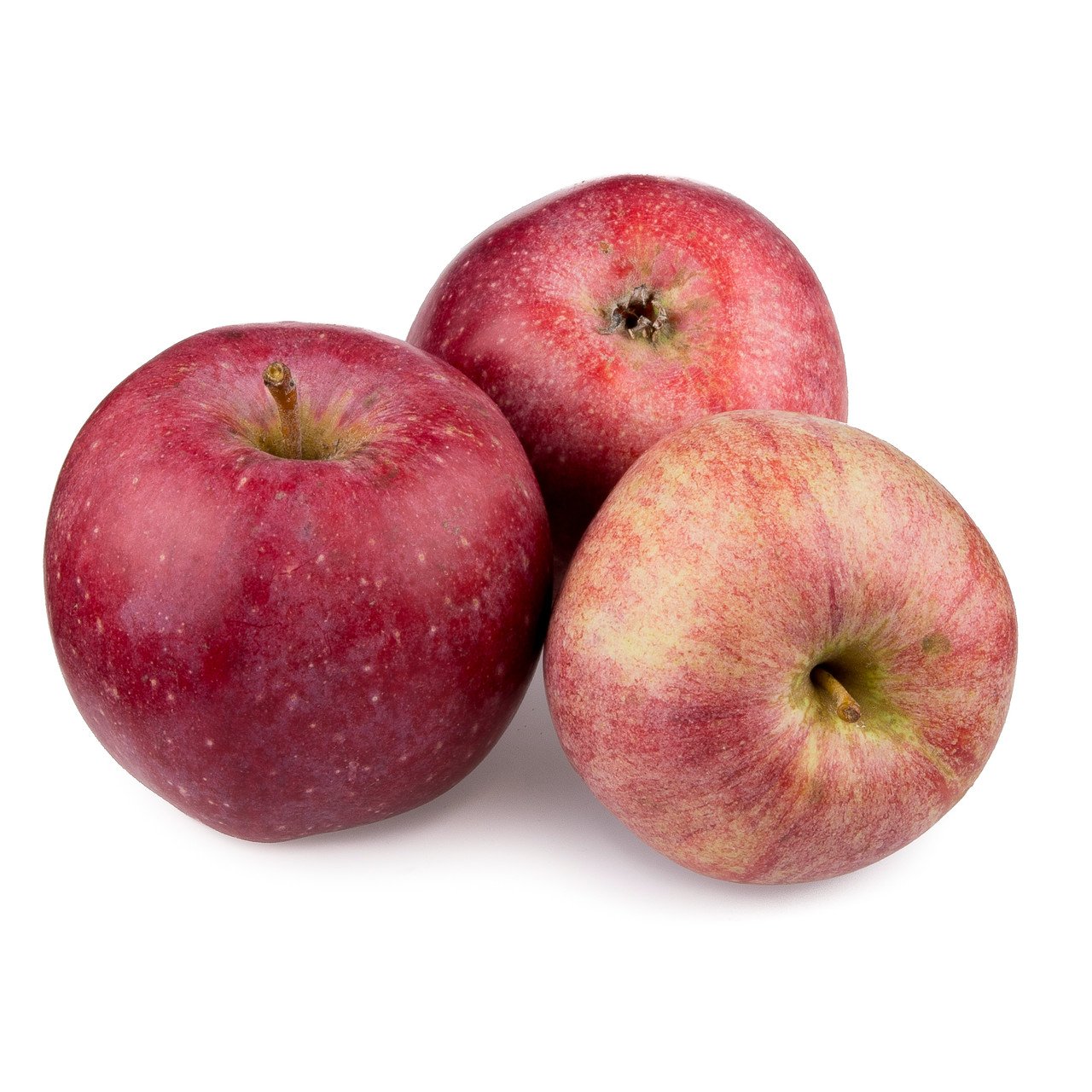 Produkt: Apfel Sauergrauech PSR sauer, Bio Knospe Schweiz, - Bio ...